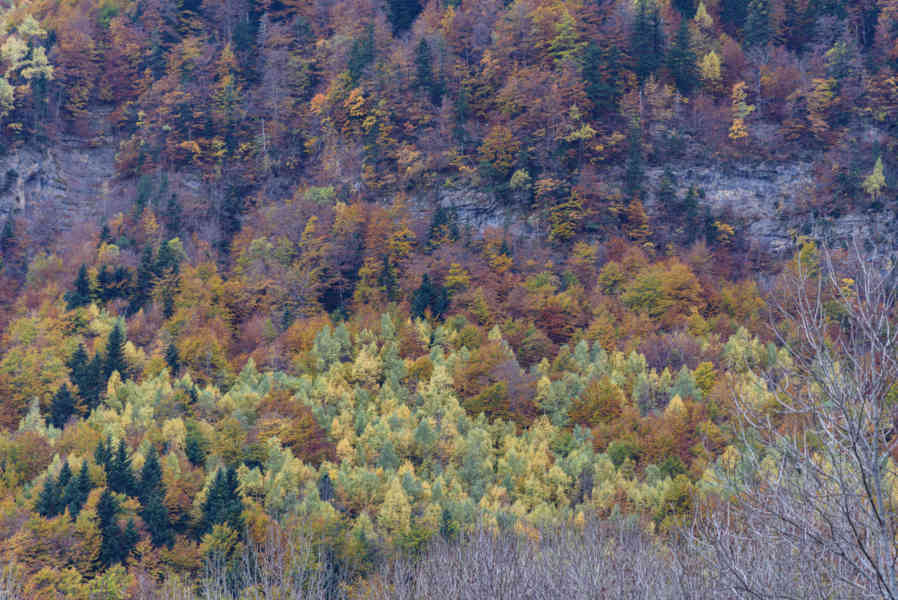 Huesca - parque nacional de Ordesa y Monte Perdido - valle de Pineta 33.jpg